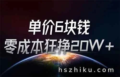 单价6块钱，零成本狂挣20W+的大学生职业生涯规划赛道，虚拟资料细分市场确实可行！