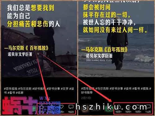 视频号新赛道,简单易上手,月入12000+(附详细教程)
