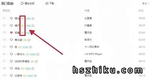 车载音乐U盘项目，靠这个方法，0基础普通人也能月入8000+（附详细教程）
