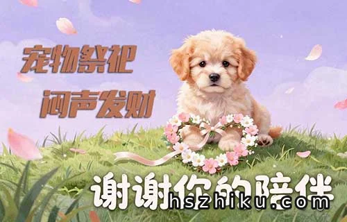 宠物祭祀赚钱项目相关页面与内容展示1