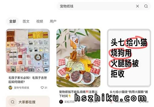宠物祭祀赚钱项目相关页面与内容展示2