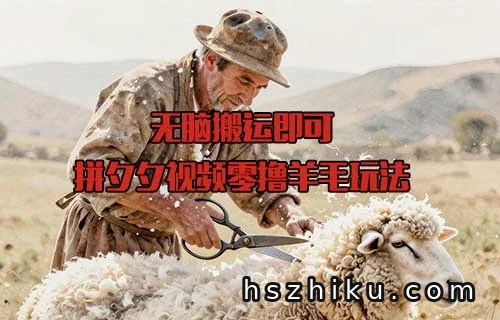 拼夕夕视频零撸羊毛玩法相关页面与内容展示1