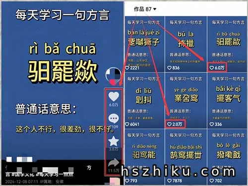 视频号方言视频赚钱项目相关页面与内容展示3