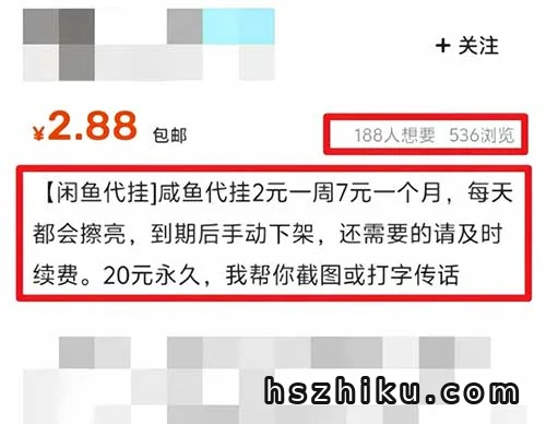 闲鱼代挂项目相关页面与内容展示3