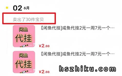 闲鱼代挂项目相关页面与内容展示4