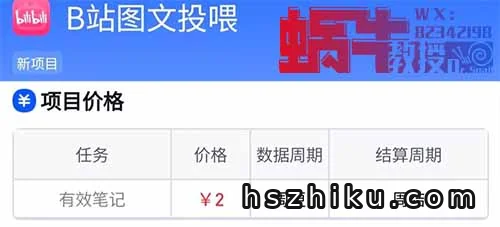 两个小项目,小红书10元一篇笔记,B站2元,每天可以领低保!