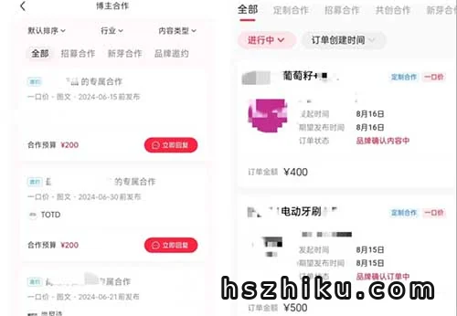 小红书商单变现项目拆解相关页面与内容展示3