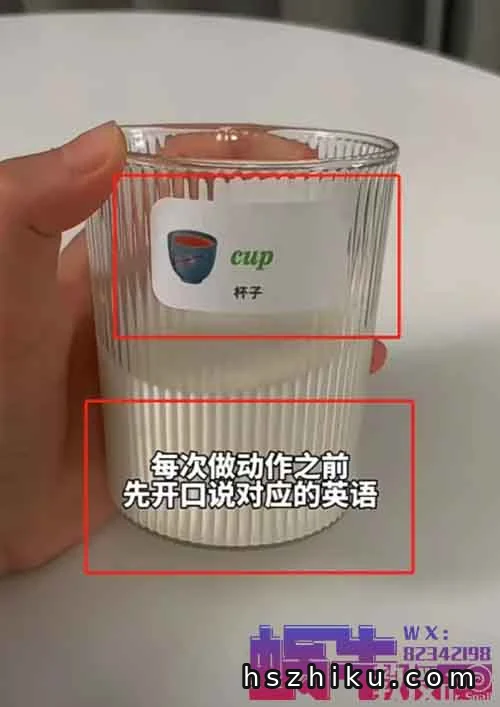 英语便利贴，年入100万+赚钱并没有那么难！信息差项目拆解