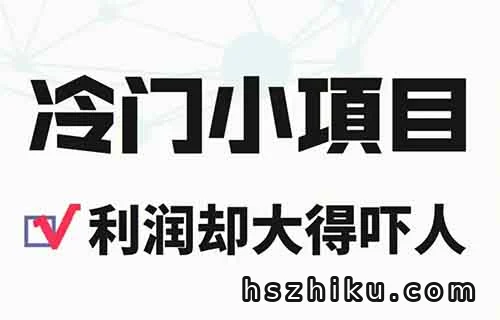 拆解一个月入1万的冷门项目玩法