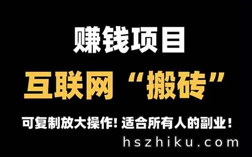 一个被人忽略的项目，实现躺赚管道收益，百度文库搬砖项目