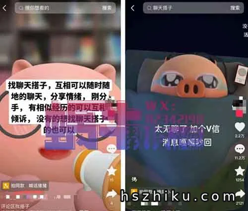 一单9.9-29.9，搭子经济项目