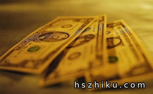 老外月花5W美刀看“爽文”,这条海外淘金思路我看行!