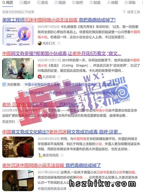 老外月花5W美刀看“爽文”,这条海外淘金思路我看行!