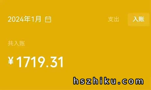 在家就能做的电子项目!一单29元!
