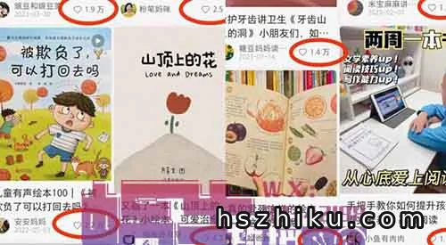 在家就能做的电子项目!一单29元!