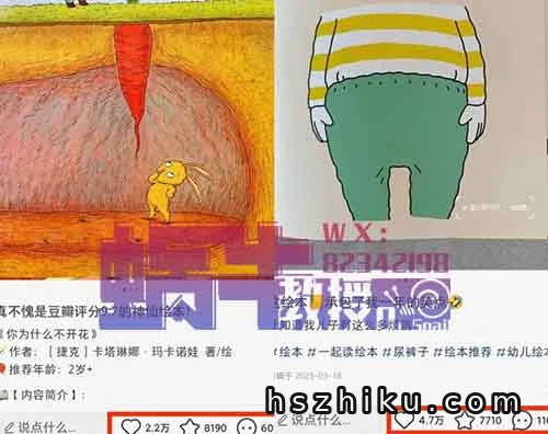 在家就能做的电子项目!一单29元!