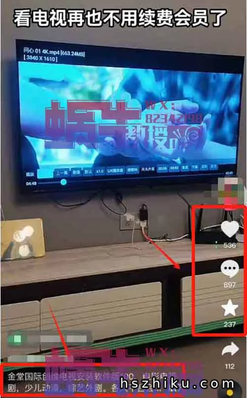 暴利刚需的项目！网络电视会员纯利润高达100+