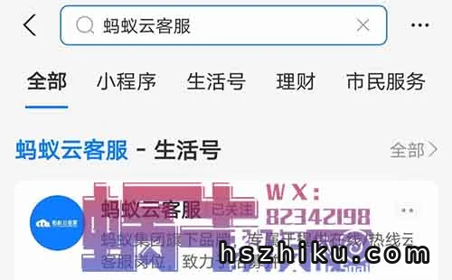 线上客服，背靠支付宝大平台30元/小时，人人可做