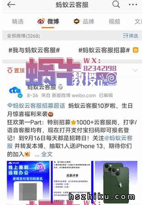 线上客服，背靠支付宝大平台30元/小时，人人可做