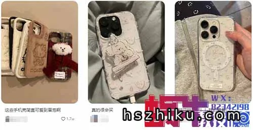 一单挣¥50的小项目,0成本回报高,小红书一件代发