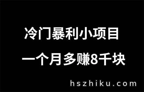 冷门暴利小项目 一个月多赚8千块